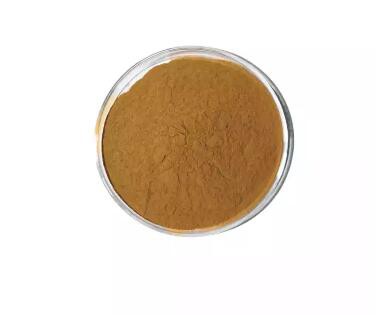 organic pine needle extract