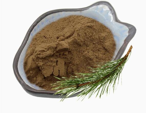 pine needle oil extract