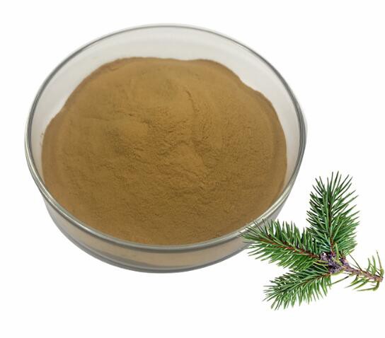 pine needle liquid extract