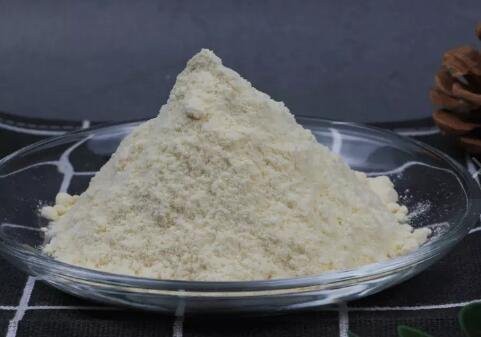 cynanchum atratum extract powder