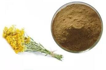 helichrysum stoechas flower extract