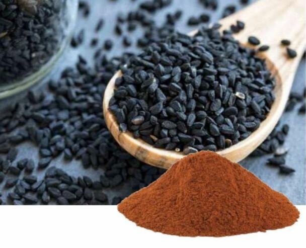 nigella sativa seed extract