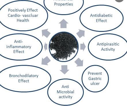 nigella sativa extract benefits