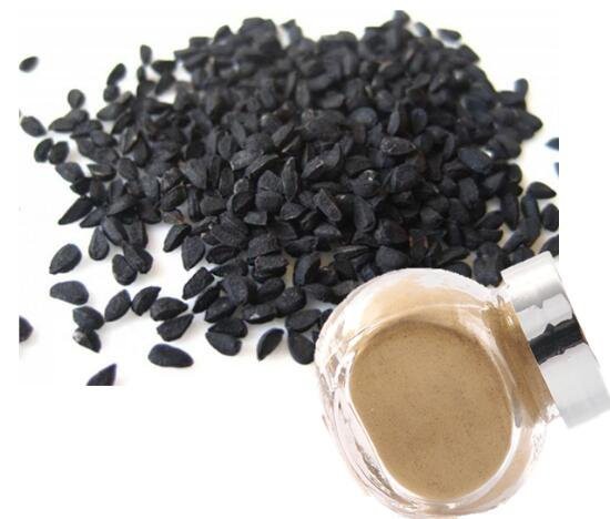 extract of nigella sativa