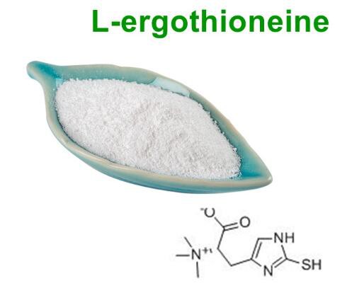 l-ergothioneine powder