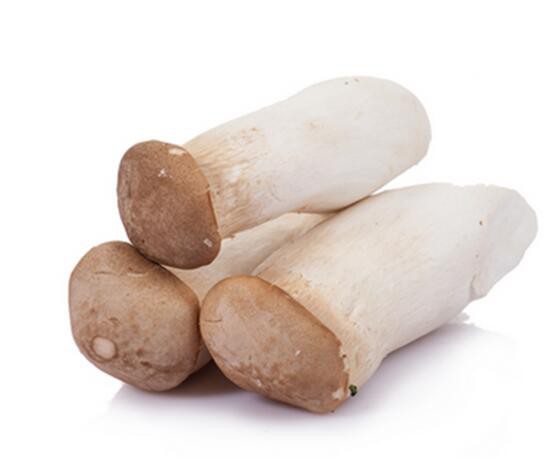 chicken leg mushroom benefits