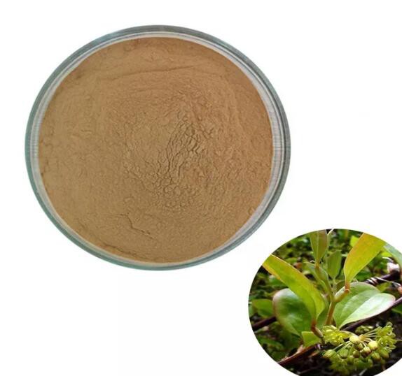 smilax officinalis extract