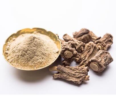 jamaican sarsaparilla root powder