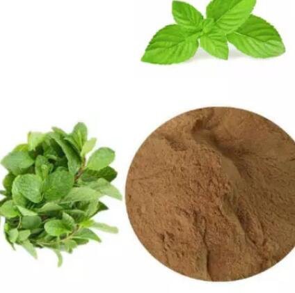 mint extract price