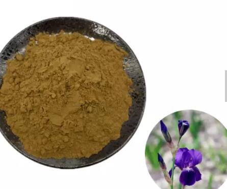 iris root extract