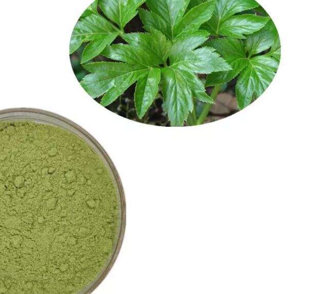 Angelica Keiskei extract benefits