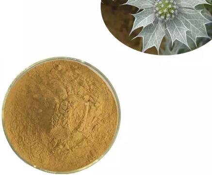 Eryngium Maritimum Extract