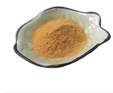 lens esculenta lentil seed extract