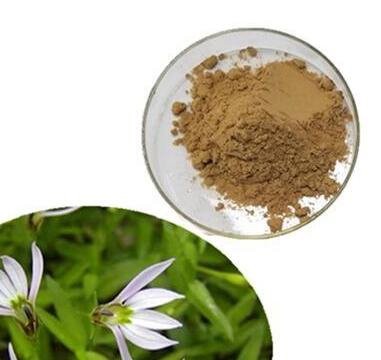 lobelia inflata extract