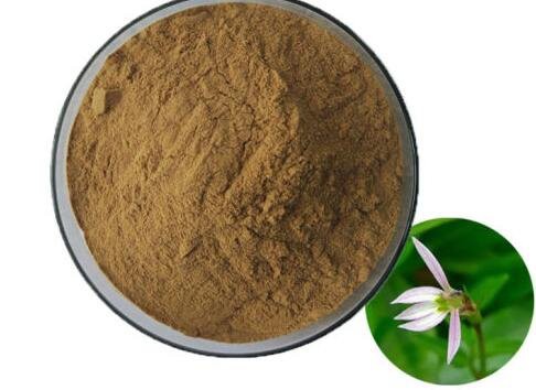 lobelia powder