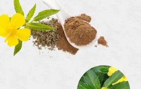 damiana powder extract