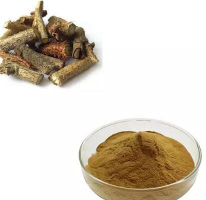 eleuthero root extract powder