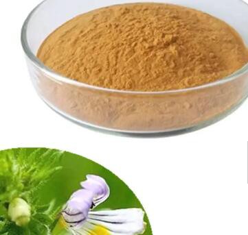 eyebright extract powder