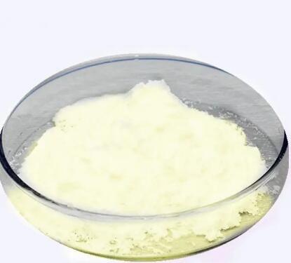 organic avocado powder bulk