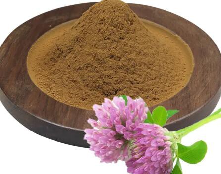 organic red clover powder