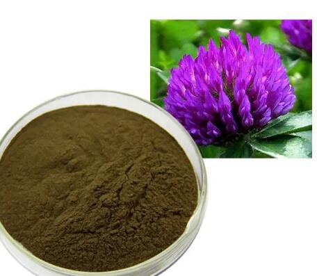 red clover herb powder