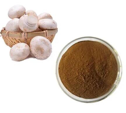 agaricus bisporus powder