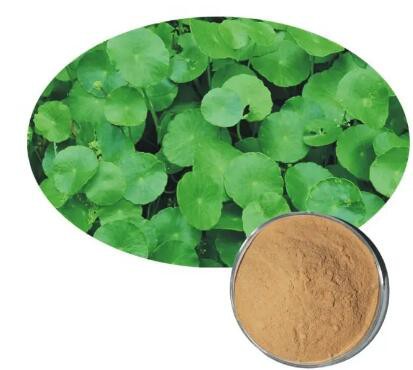 desmodium molliculum extract