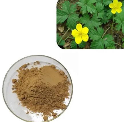 potentilla alba extract