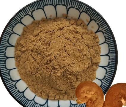 reishi beta glucan