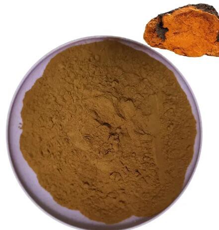 chaga beta glucan