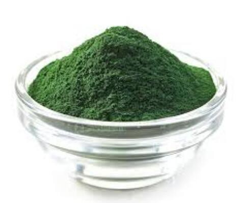 chlorella bulk