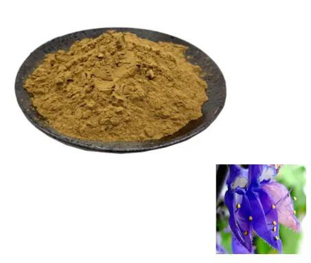 forskolin powder bulk