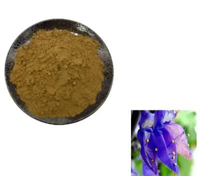 forskolin bulk powder