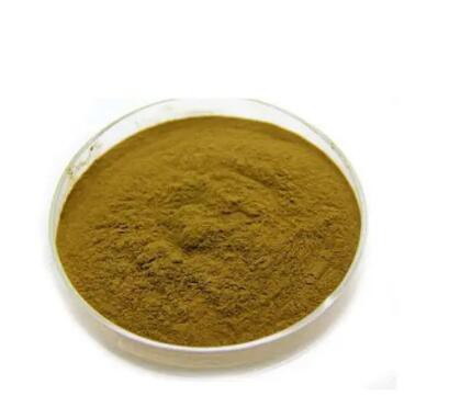 forskolin extract ingredients