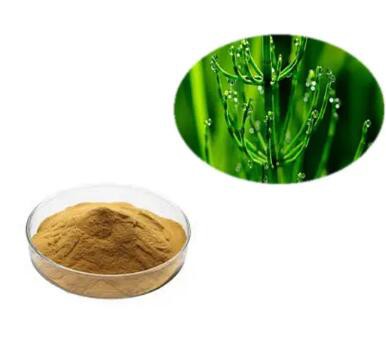 horsetail grass stem extract