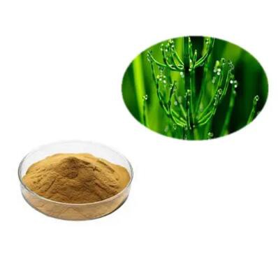 equisetum arvense leaf extract