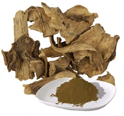 elecampane root extract