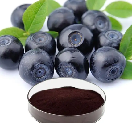 bilberry extract 25 anthocyanins