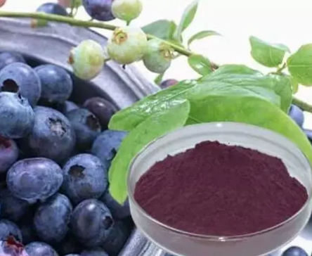 bilberry anthocyanin