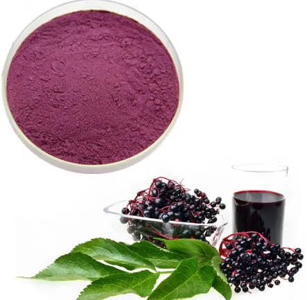 elderberry anthocyanins